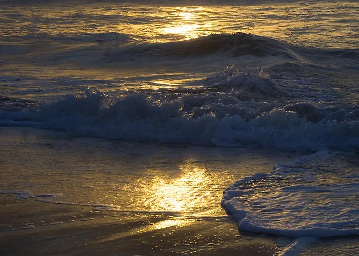 ¿Qué aeropuertos son los más cercanos a Aeropuerto de Ámsterdam-Schiphol? Hotel Zelanda